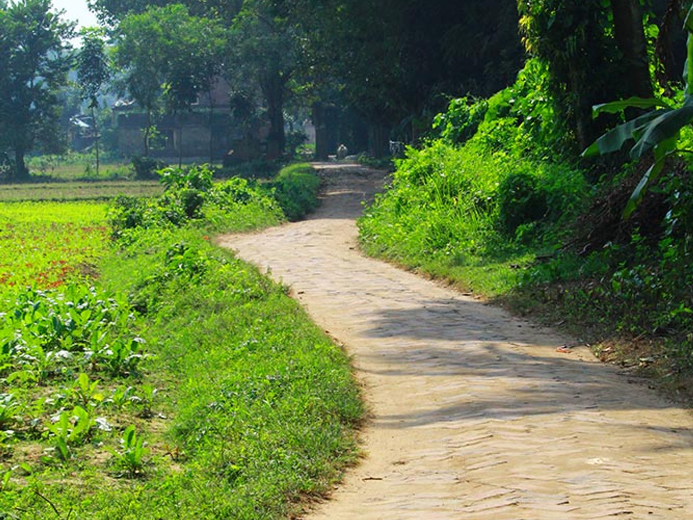 Debipur 2018