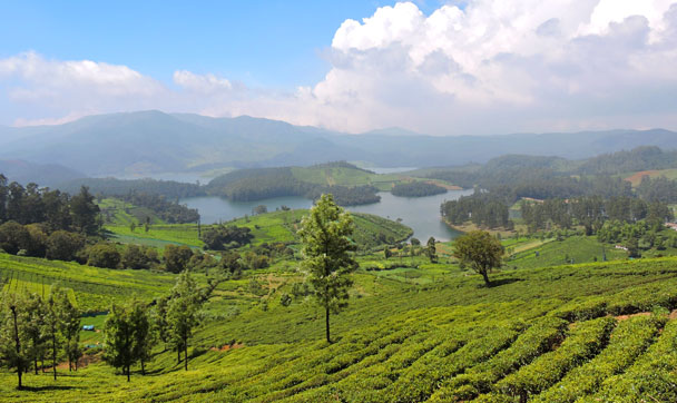 Ooty