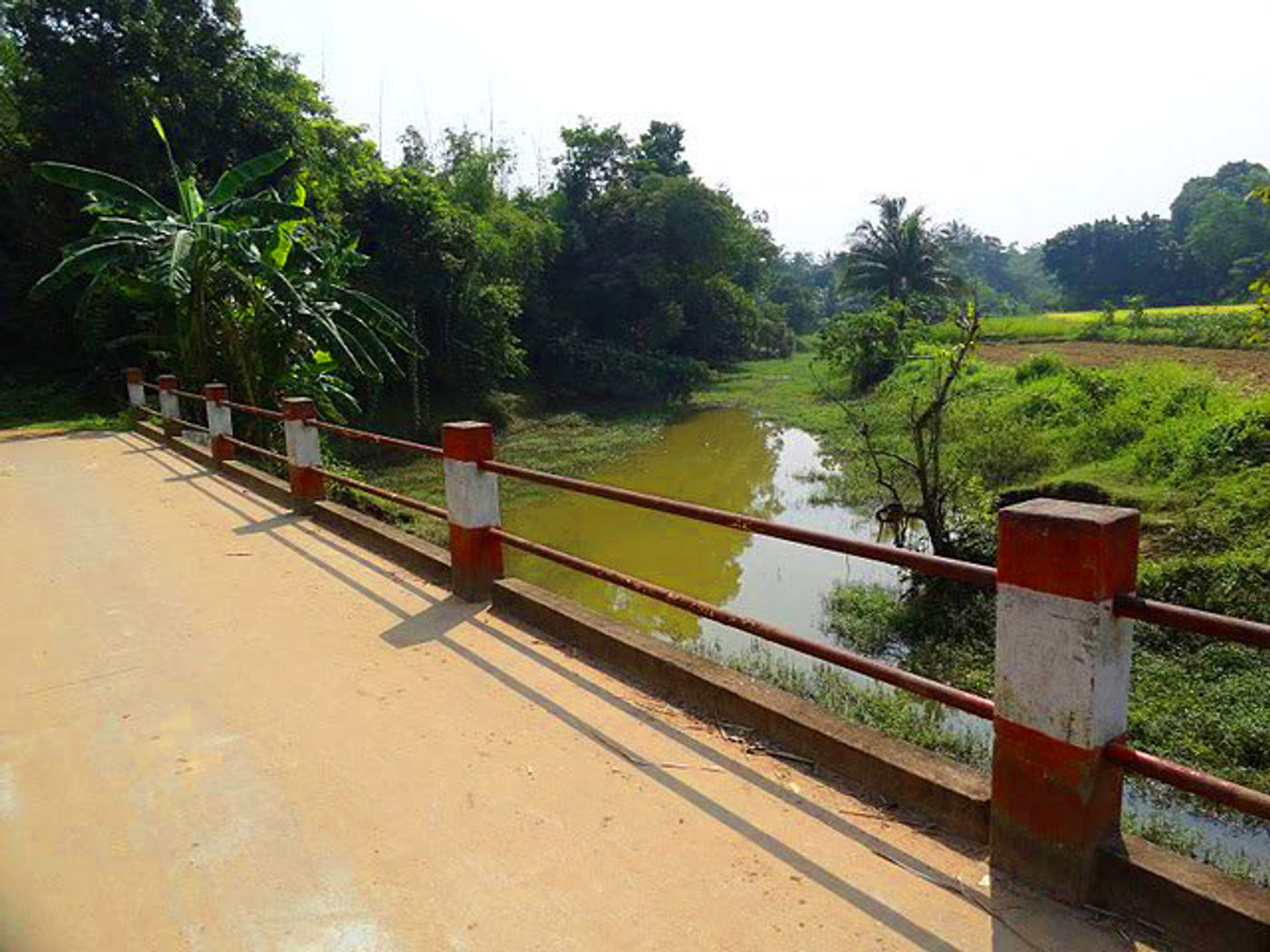 Debipur 2011