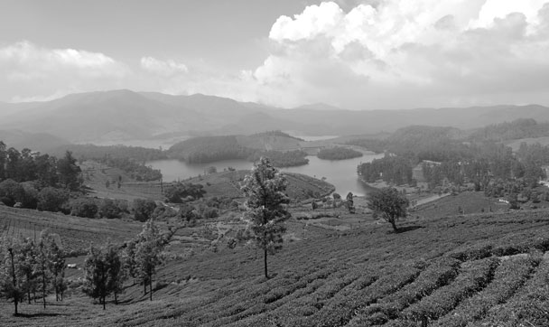 Ooty